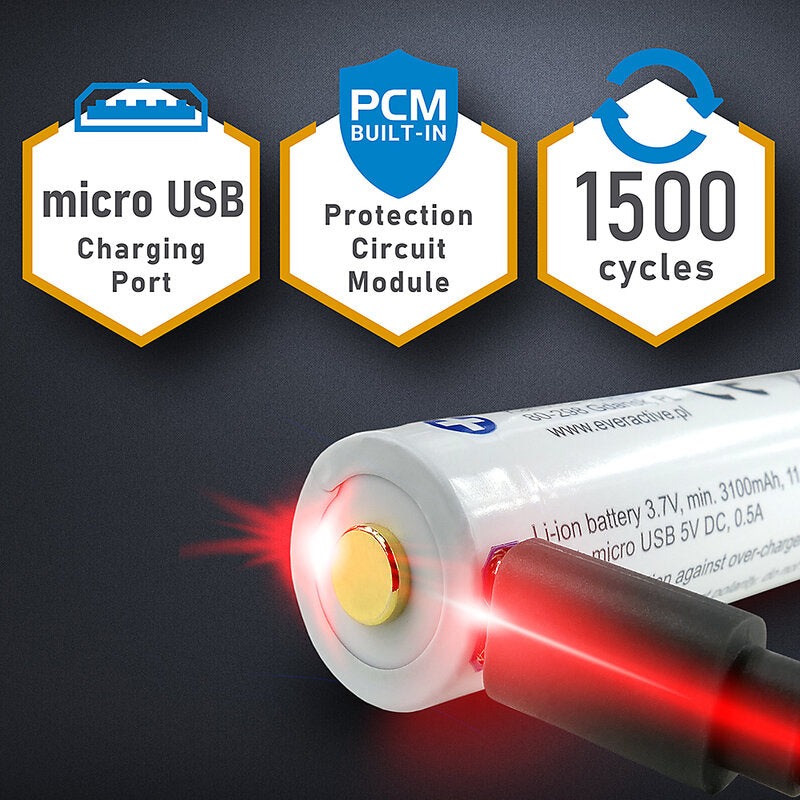 everActive 18650 3,7 V Li-ion 3200 mAh mikro USB polnilna baterija
